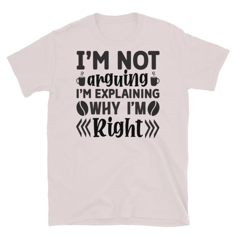 I m not arguing I m explaining why I m right T-Shirt - Image 5